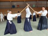Eindrücke vom Frauen-Aikido in Kniebis/Freudenstadt (Schwarzwald), Sommer 2021