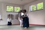 Aikido-Aufführung auf der Jubiläumsfeier am 17. Juni 2023